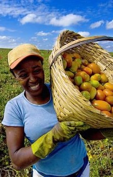 Novo PR enfrentará o desafio de promover a diversificação da economia