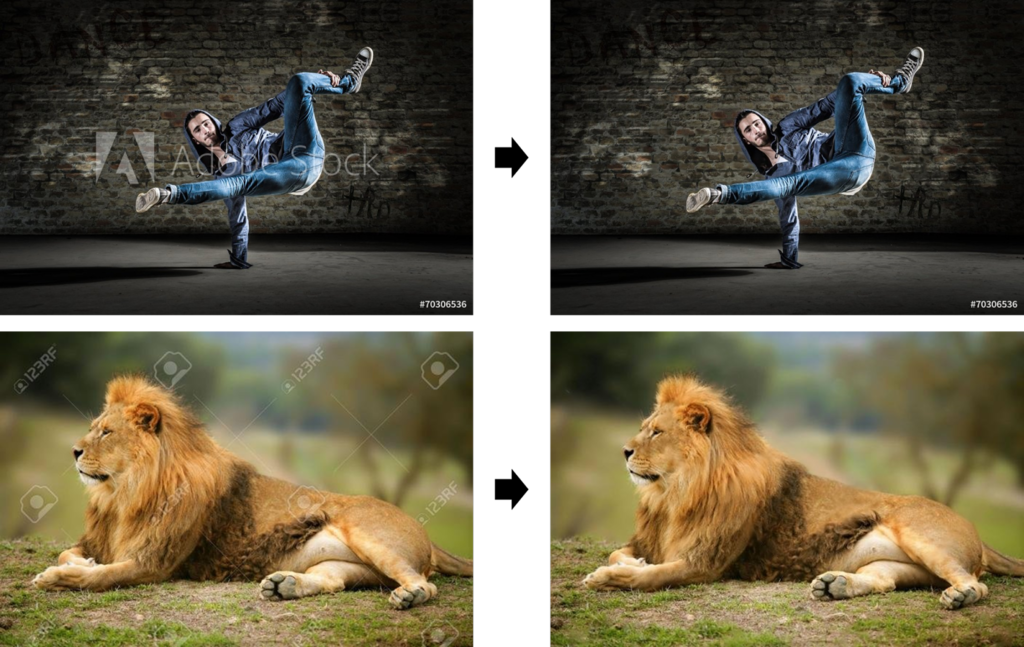 Algoritmo da Google aprendeu a remover marcas de água das fotografias