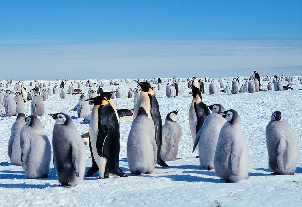 Pesquisadores franceses usaram nova técnica de análise de riscos