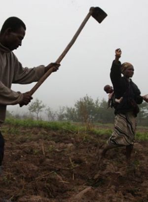 No plano inverso, e apesar das conhecidas potencialidades agrícolas, 10,44% do volume de importações angolanas foram de produtos agrícolas, no valor de 211.270 milhões de kwanzas (1.140 milhões de euros), uma quebra de 4,32% face a 2015. 
