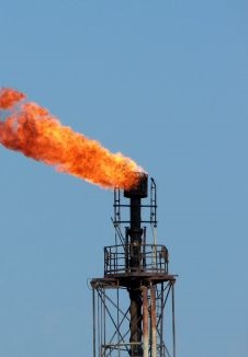 Segundo Business Insider, após essa declaração feita, os preços do petróleo subiram mais de 2,7%, com preços atingindo 49,13 USD o barril. 