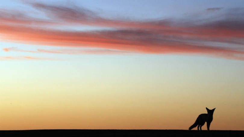 Rally Dakar: com mau tempo, helicópteros não poderiam decolar para garantir a segurança dos pilotos