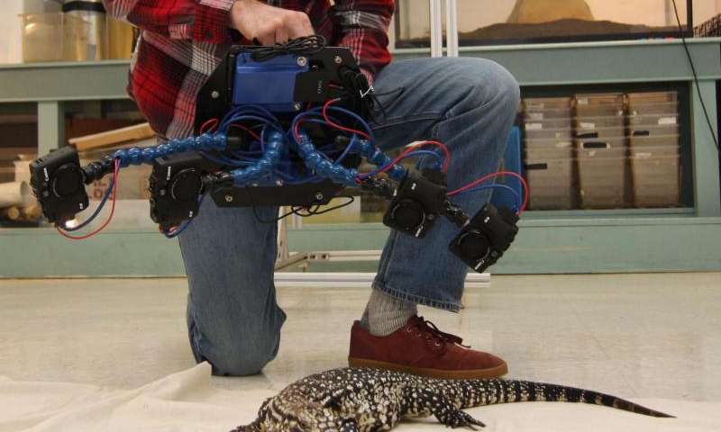 o que eles chamam de "Beastcam" porque pode rapidamente e facilmente criar modelos 3D de animais vivos e outros objetos.