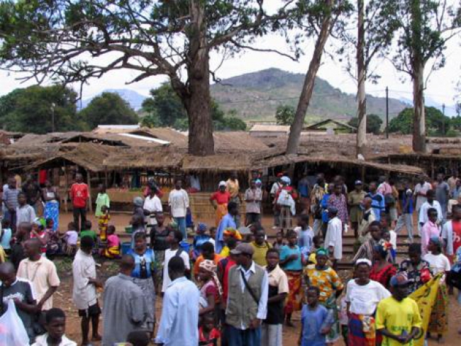 Na província de Inhambane o processo poderá abranger mais de três mil e quinhentas áreas.