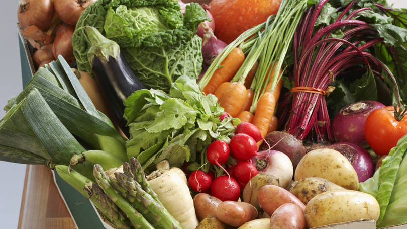 Vegetais: experimentos relatados na Food Chemistry contribuem para elucidar alguns pontos