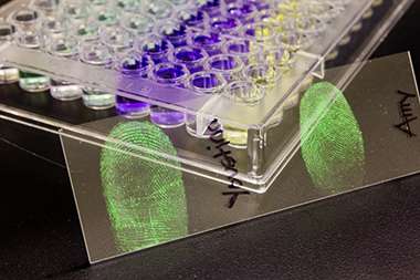 Estudo completo de Halámek é publicada em Química Analítica.