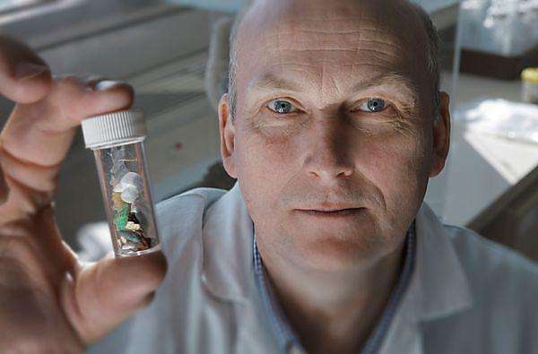 É o efeito destas últimas, conhecido como nano-materiais plásticos, que serão estudados no âmbito de um projeto de pesquisa 