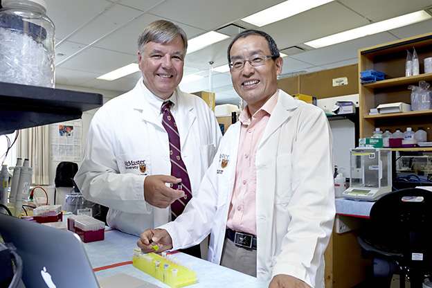 O documento foi publicado on-line hoje pela revista científica alemã Angewandte Chemie International Edition.