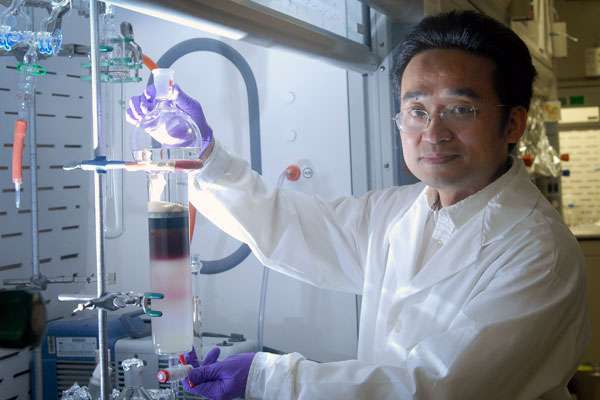 A pesquisa será publicada em Ciência Química.