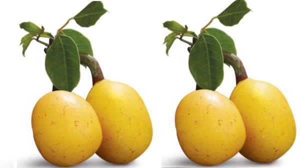 O capenta seco é outro prato utilizado assim como massa de farinha de mapira de machoeira.