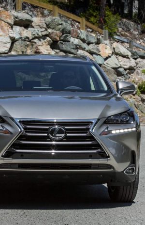 Deputados ficam sem Lexus depois de cortes nos combustíveis e telemóveis