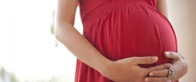 NOVO PROJECTO DE PREVENÇÃO DE MALÁRIA PARA MULHERES GRÁVIDAS