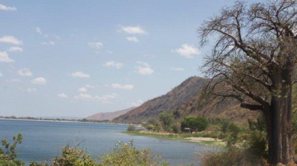  sua capital é Lichinga e as etnias mais representantes são os macuas