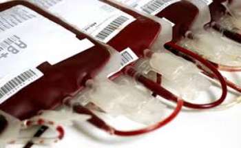 Mitos e crenças religiosas condicionam transfusão de sangue