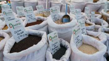 Ministros do G7 criticam decisão de proibição de exportação de cereais por parte da Índia